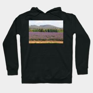 Lavender fields Hoodie